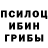 Галлюциногенные грибы мицелий Alexia Rosas