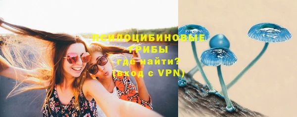 спиды Пролетарск