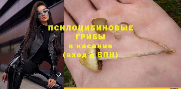 spice Покровск