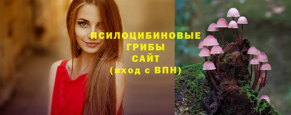 бошки Дрезна