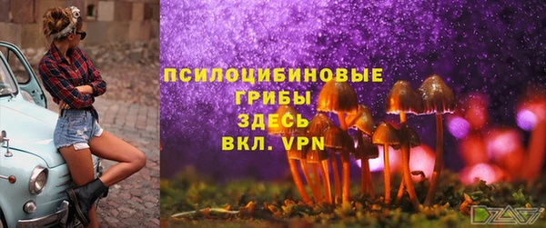спиды Пролетарск