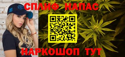 индика Кинель
