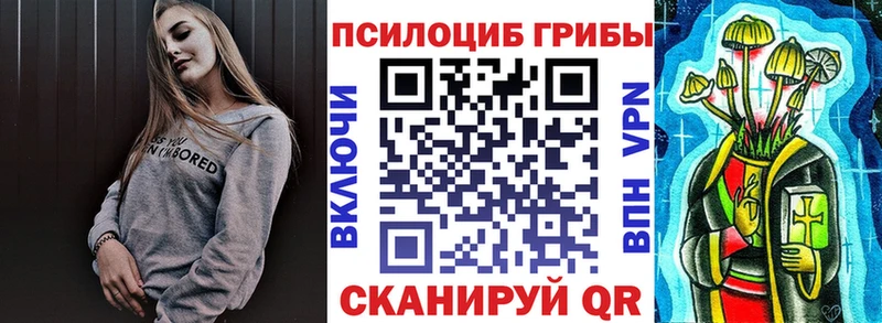 Псилоцибиновые грибы мицелий  закладки  Мурманск 