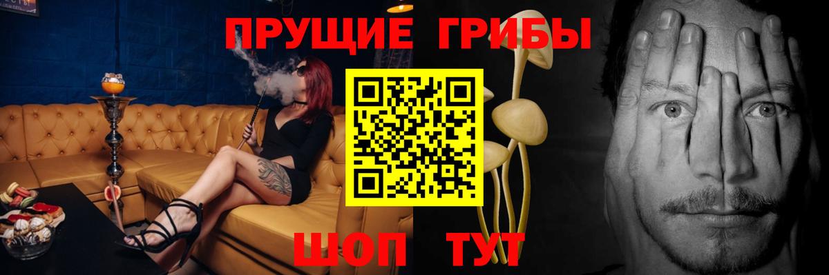 Мурманск  Галлюциногенные грибы MAGIC MUSHROOMS  Вход с VPN 