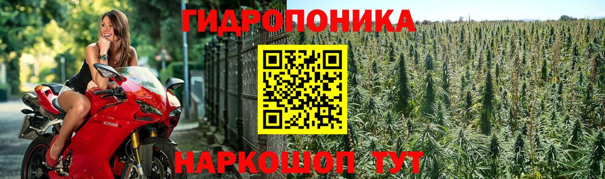 Мурманск  Шишки марихуана конопля  Конопля Amnesia  Конопля Bruce Banner  Вход с VPN 